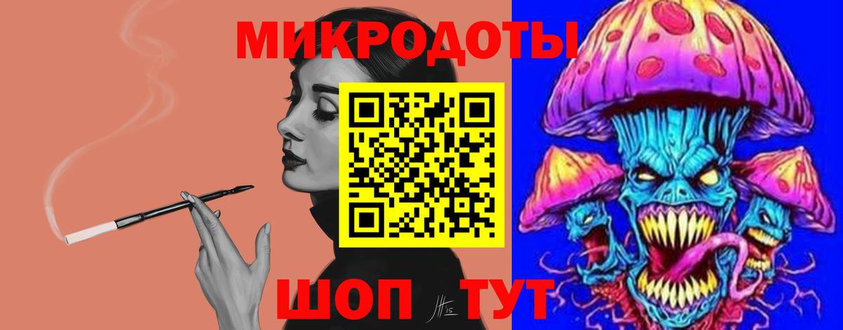 Галлюциногенные грибы Psilocybine cubensis Воркута